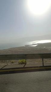 Vert Dead Sea - 12
