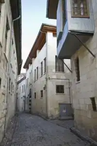 Zeynep Hanim Konagi - 45