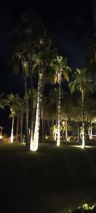 Acanthus Cennet Barut Collection - Ultra All Inclusive - 82