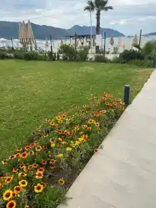 Premier Nergis Beach & SPA - 62