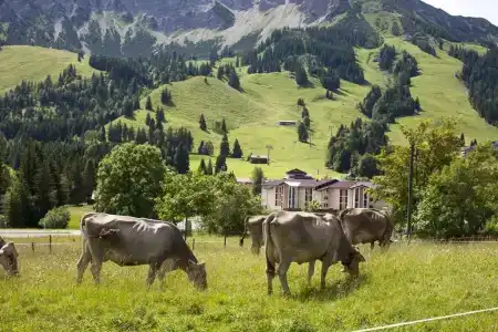 PanoramaOberjoch - 4