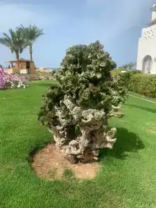 Mercure Hurghada - 66