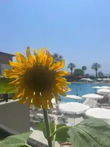 Justiniano Club Alanya - 36