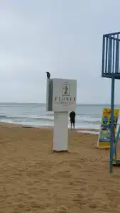 Iz Flower Side Beach - 43