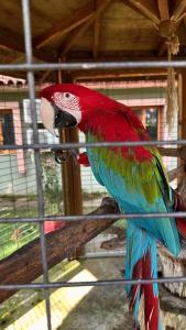 Gloria Verde Resort - Kids Concept - 90