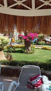 Sunrise Aqua Joy Resort - 79