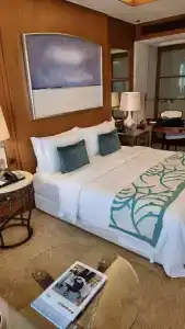 The St. Regis Saadiyat Island Resort, Abu Dhabi - 81