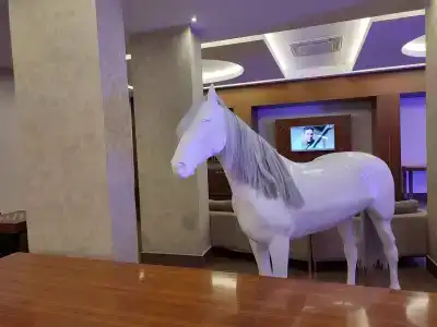 Blue Bay Platinum - 53