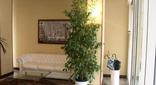 Audi Frontemare - 67