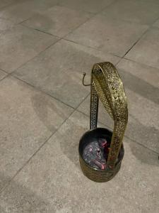 Steigenberger El Tahrir Cairo - 66