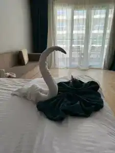 Hawaii Paradise Aqua Park Resort - Families and Couples Only - 54