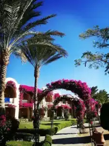 TUI MAGIC LIFE Kalawy - 92