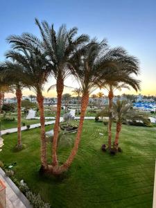 Pickalbatros Dana Beach Resort - Hurghada - 47