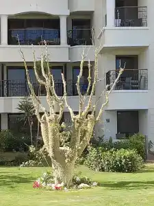 Sunrise Holidays Resort -Adults Only - 63