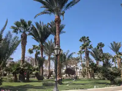 The Grand Resort - 90