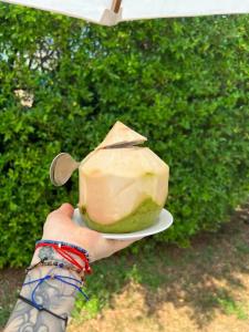 Dusit Thani Pattaya - SHA Extra Plus - 68