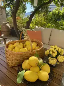 True Blue Boutique Kalkan - 24