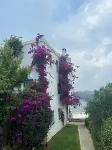 Riva Bodrum Resort- Adult Only +16 - 6