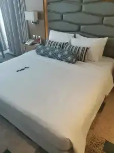 Canal Central - 65