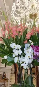 Rixos Pera Istanbul - 52