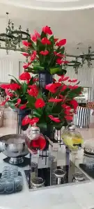 Selectum Family Comfort Side - 72