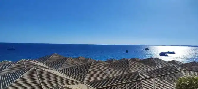 Sentido Reef Oasis Senses Aqua Park Resort - 20