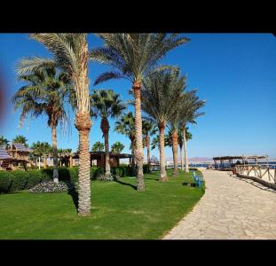 Labranda Sharm Club - 89