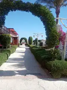 AMC Royal & Spa - 6