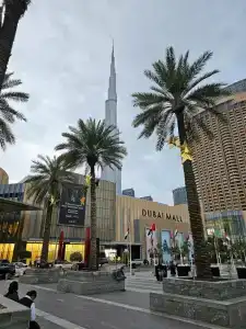 DoubleTree by Hilton Dubai Al Jadaf - 5