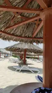 Sharjah Premiere & Resort - 53