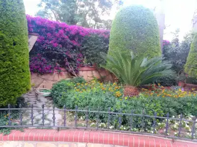 My Home Resort- Ultra All Inclusive - 9