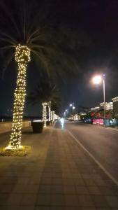 Aloft Palm Jumeirah - 43