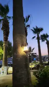 Sami Beach- All Inclusive - 78