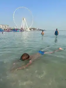 Deltas by Marriott Jumeirah Beach, Dubai - 82