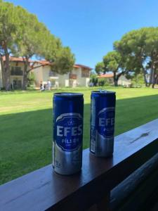 Papillon Belvil Holiday Village - 67