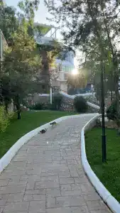 Bodrum Holiday Resort & Spa - 65