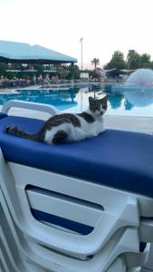 Queen's Park Le Jardin - 22