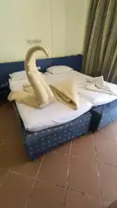 Paradise Abu Soma Resort - 14