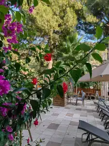 Petunya Konak Boutique - 24