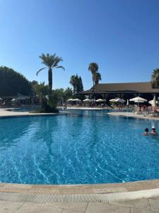 Loxia Comfort Club Side - 66