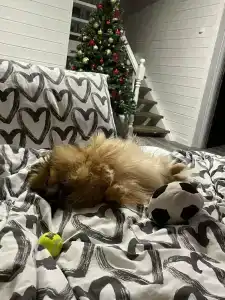 Alarchas & Resort - Ultra All Inc - 48