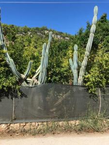 Alican Izba House - 39