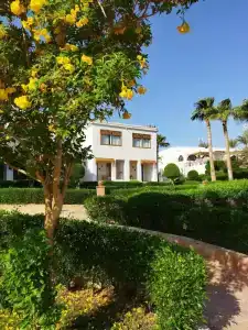 Club Reef Resort & Spa - 92