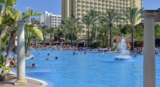 Sol Pelicanos Ocas - 91