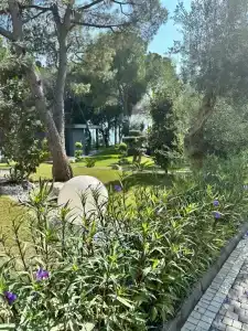 Unique Life Style - 41