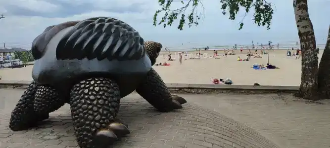 Baltic Beach & SPA - 6