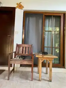 Caretta Caretta Pension - 12