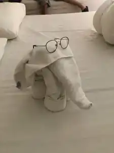 Pickalbatros Aqua Park Resort - 93