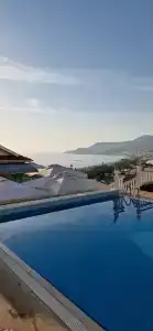 Sunny Hill Alya - 60