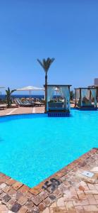 Club Reef Resort & Spa - 69